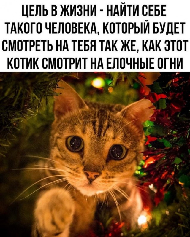 Картинки и мемы, всем хороших выходных