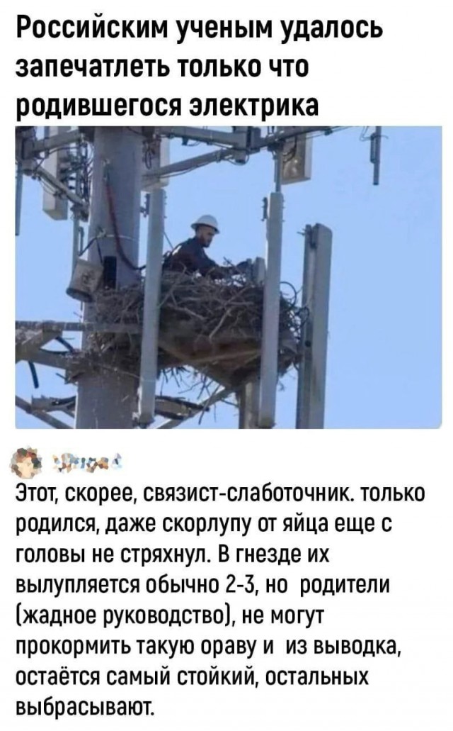 Народная меДИЧина 7034