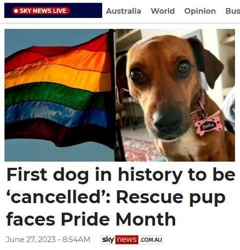 Собаку «отменили» из-за нетолерантности к ЛГБТ
