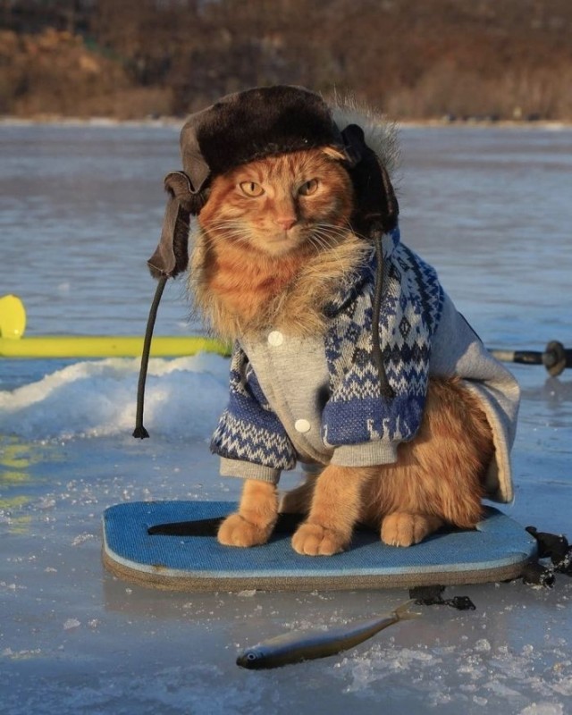 Подборка интересных и веселых картинок