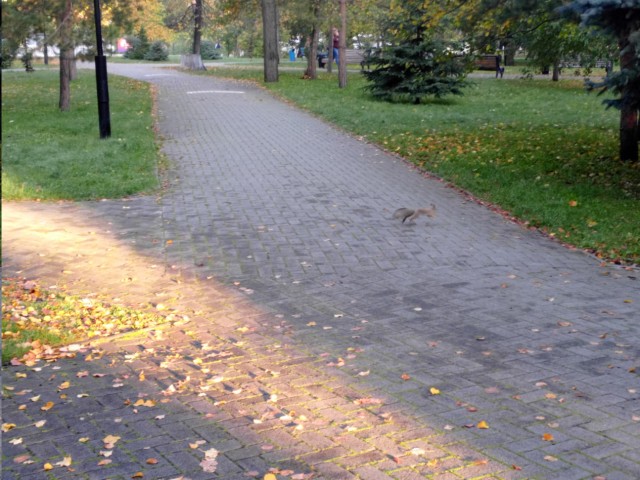 Природа. Урал