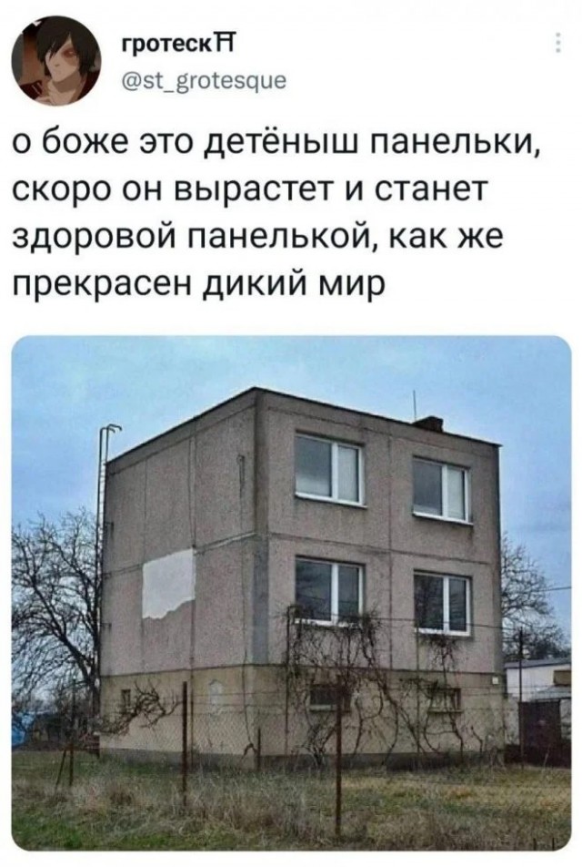 Так себе картинки 01.10.23