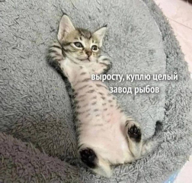 Стажер работает за еду