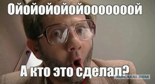 Хорошо погуляла