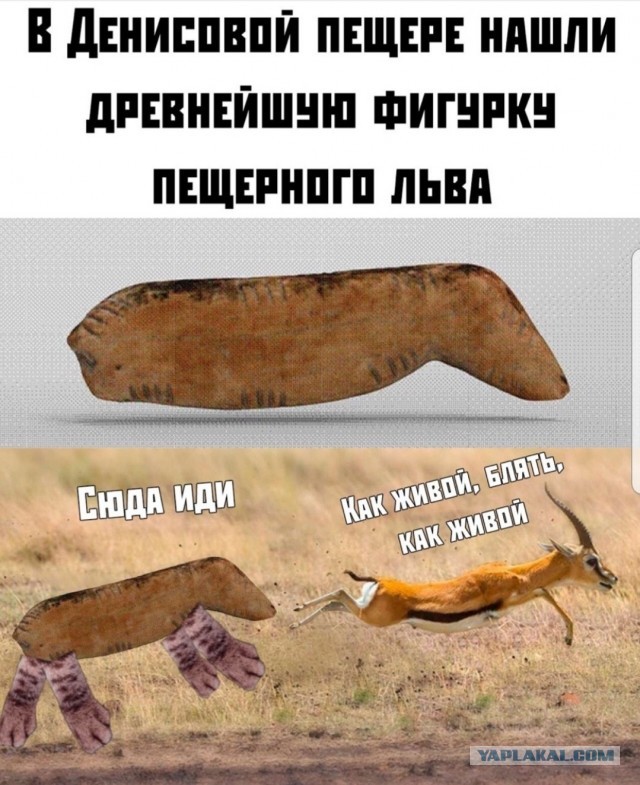 Хоть татуху с него коли