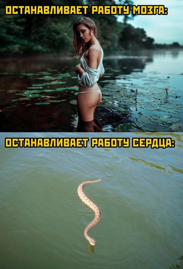 Баянистые деградинки