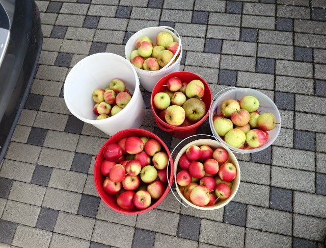 Яблоки. В ФРГ