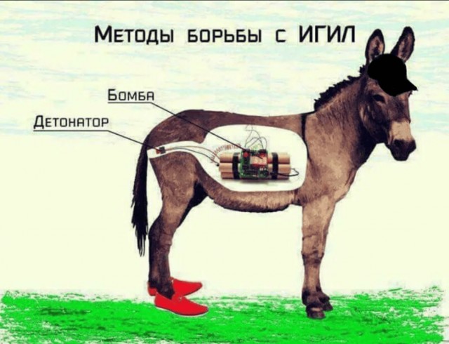 Американским рейнджерам запретили взрывать мертвых лошадей