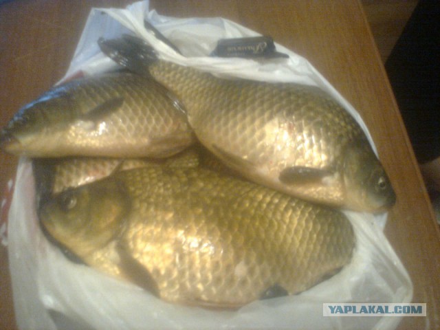 В дали от городской суеты