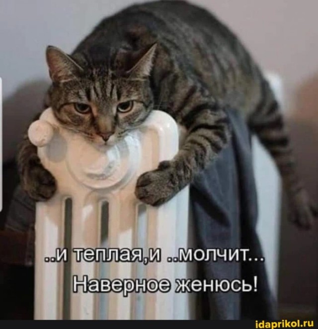 Всего понемногу. От 17.01.2025