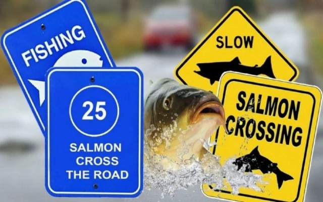 Дорожный знак "Осторожно! Рыба переходит дорогу"