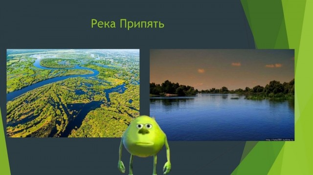 Чёрное море настолько очистилось