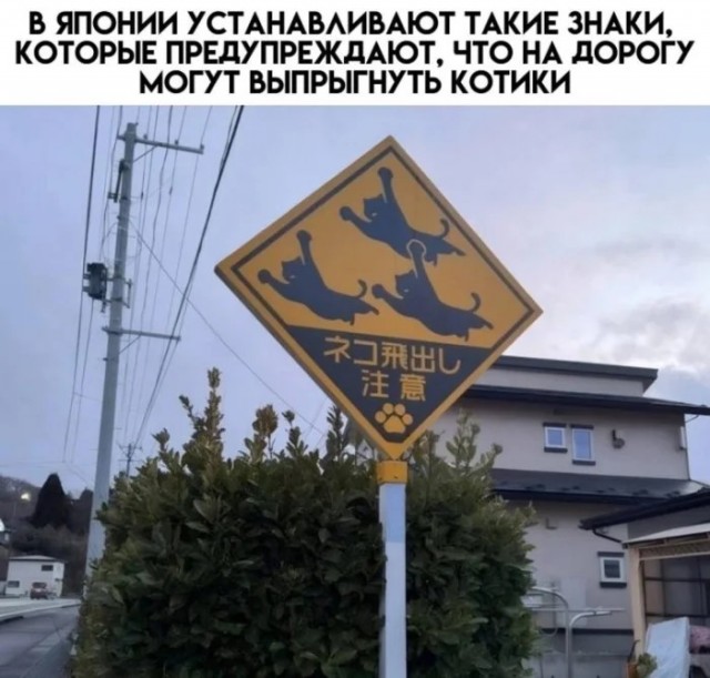 Немного мемчиков на сегодня из этих ваших инторнетов