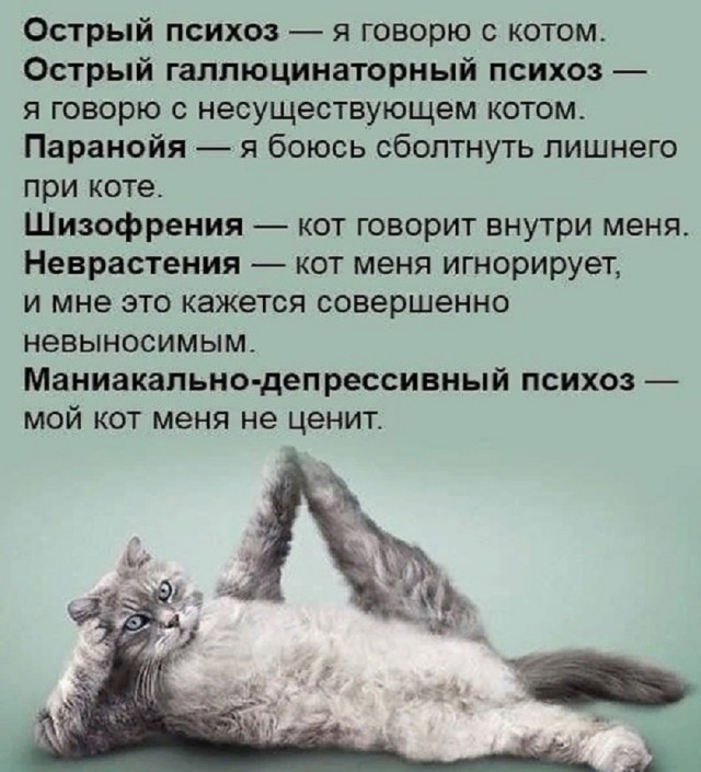 Так себе картинки 10.06.25