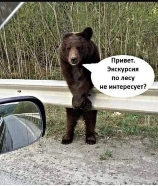 Хорошо, когда отдохнул на природе