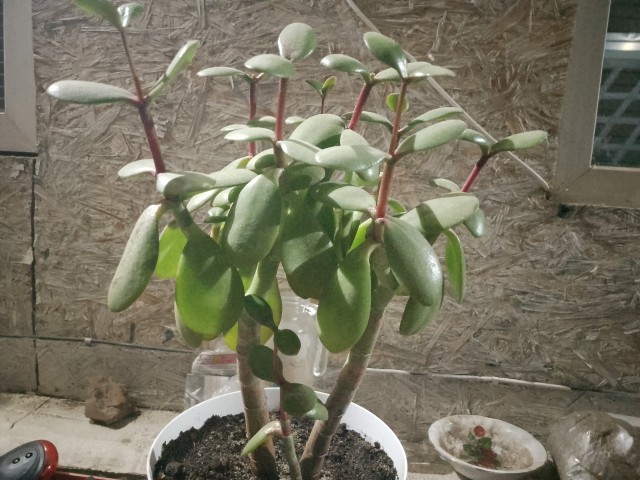 Немного позитива..