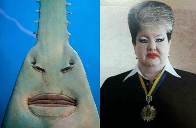 Веселое настроение в картинках 27.07.25