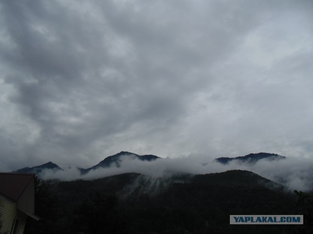 Отпуск в Сочи