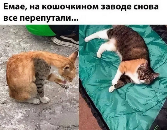 Картинки , вторник 14-е