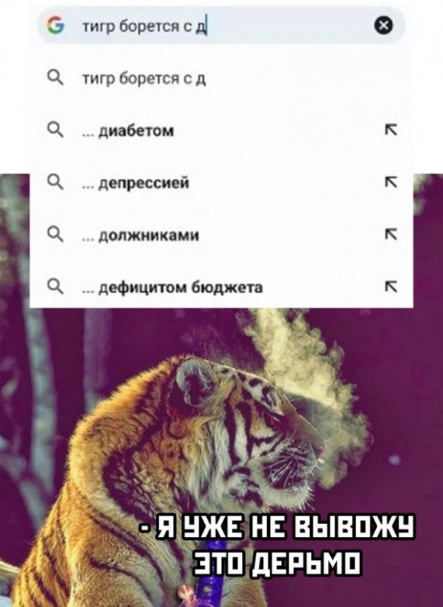 Веселые картинки в маленькую пятницу (15.10)
