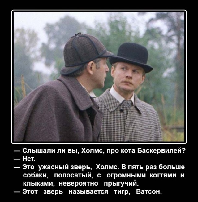 Прикольные и просто красивые картинки 09.12.2025