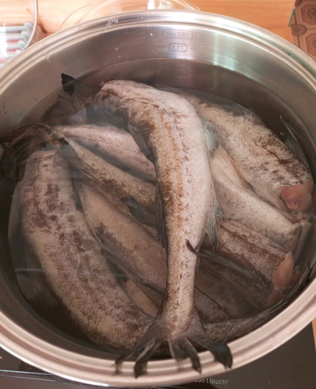 Варю котику рыбов