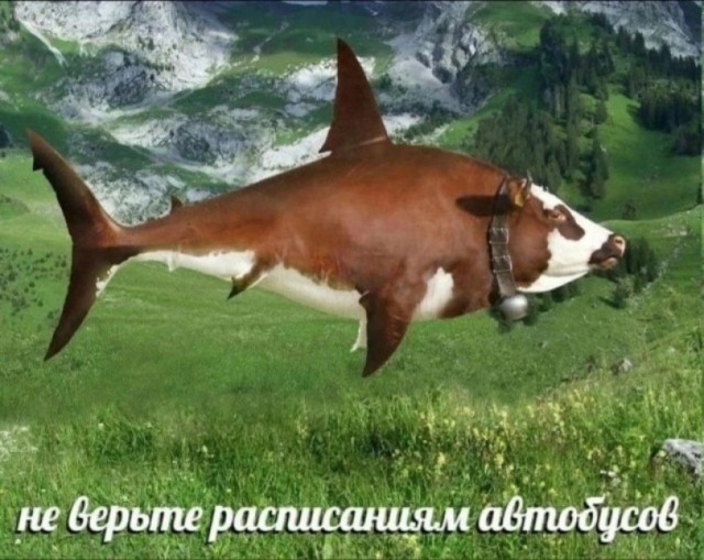 Картинки для деградации 142 (разной степени свежести)