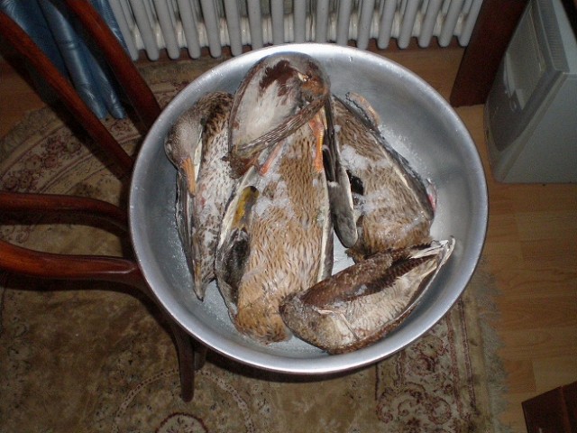 «Не от кого рожать»