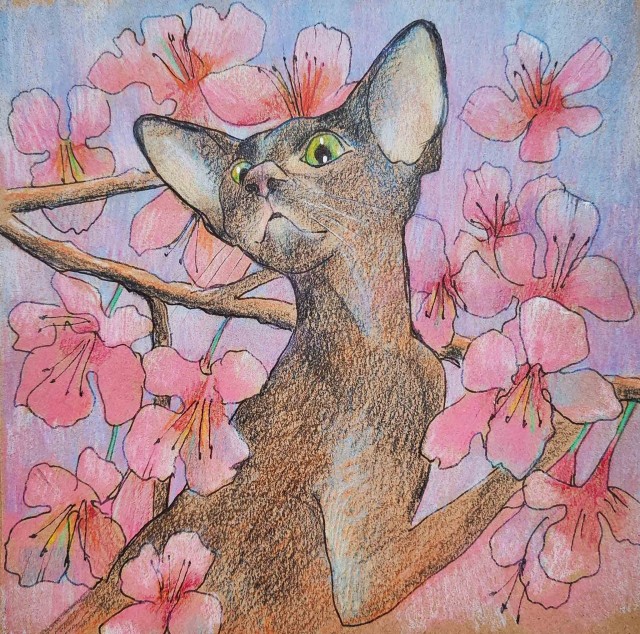 Рисунки животных