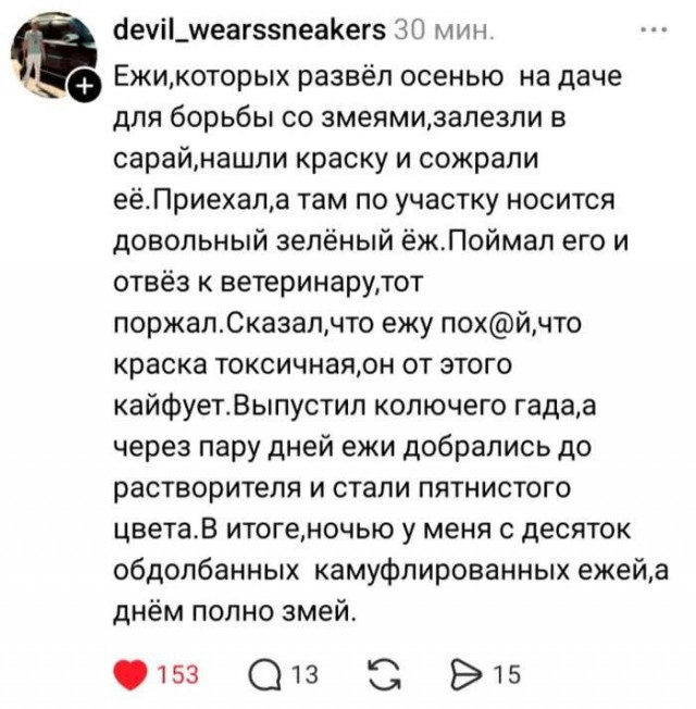 Веселые картинки в маленькую пятницу (13.05)