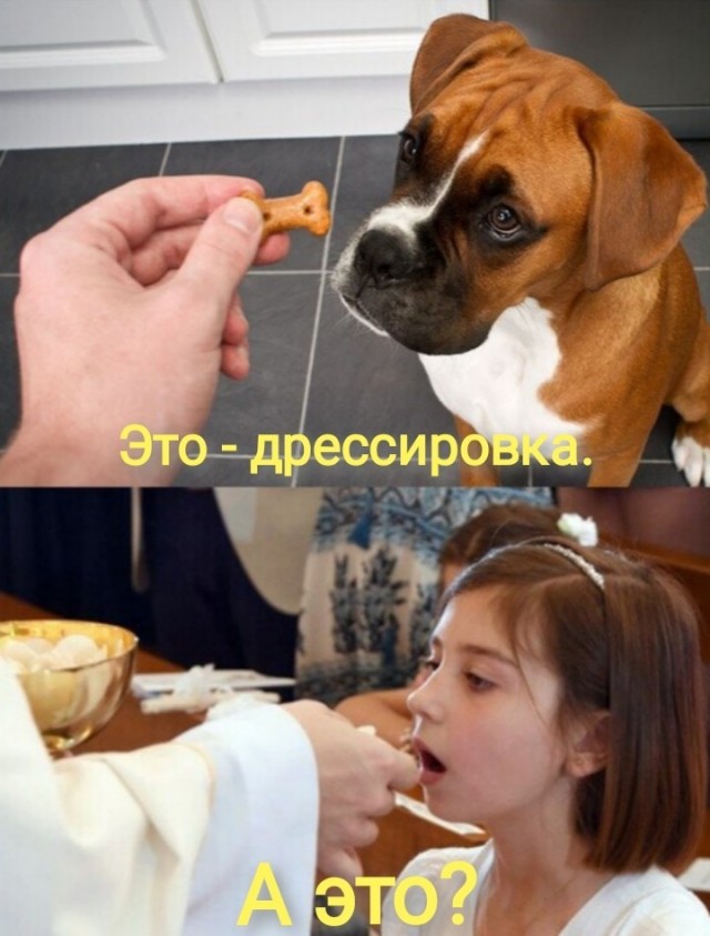 Картиночки, баянчики 23 мая