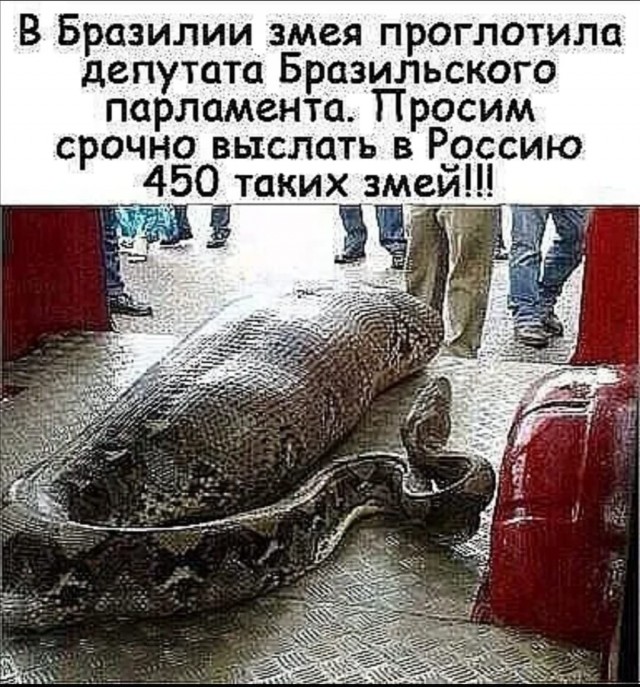 Королевская кобра