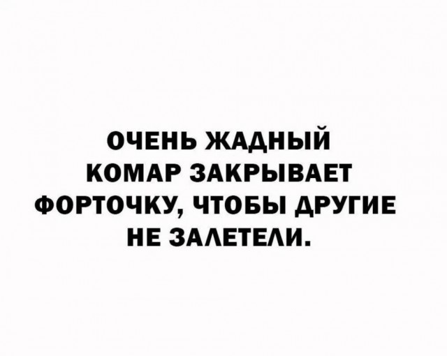 Веселые картинки в понедельник (06.07)