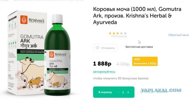 В Индии власти призывают заняться проблемой поддельной и разбавленной коровьей урины мочи