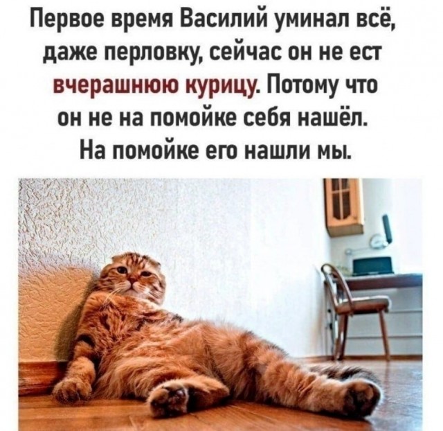 Веселые картинки в пятницу (18.09)