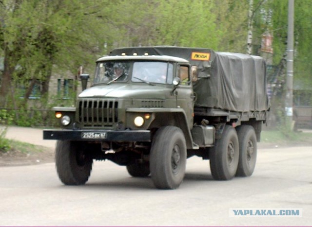 Душа, тело... а скорее просто органы