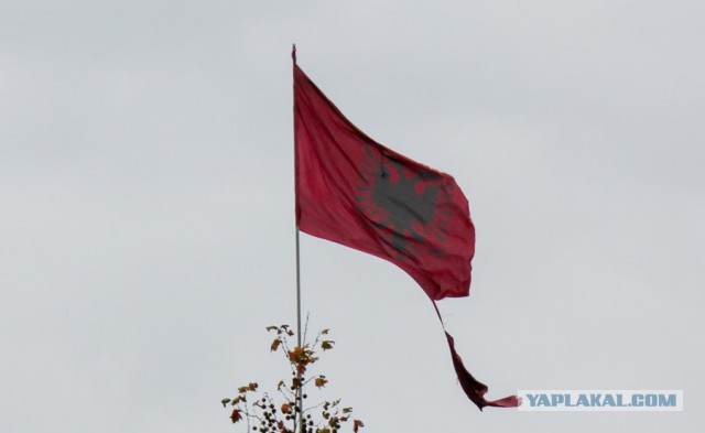 Уроки албанского
