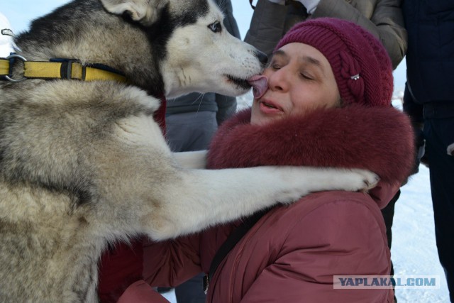 "Сегодня под Питером"