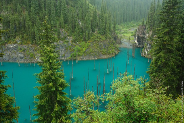 Озеро Каинды - Утонувший лес