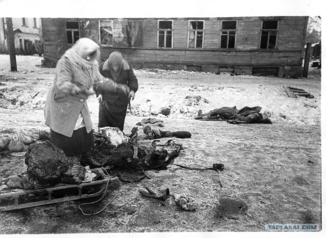 Блокадный Ленинград 1943 год