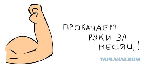 Прокачать бицуху за 30 дней? Не вопрос!