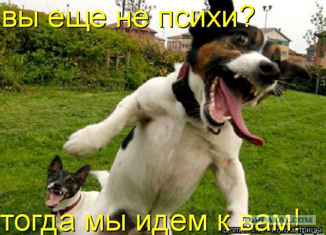 И кто это сделал?