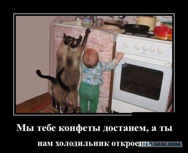 Картинки разные