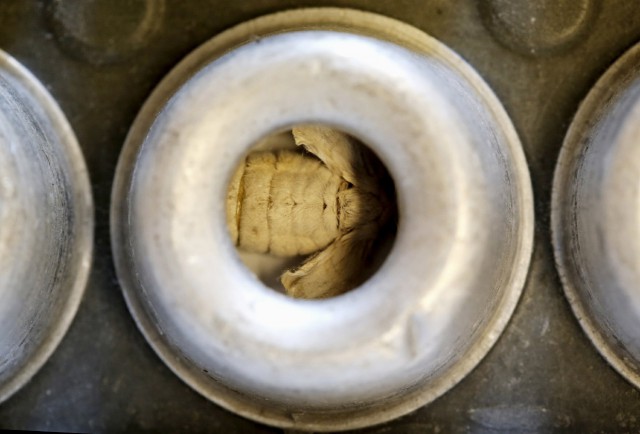 Рождение шелка