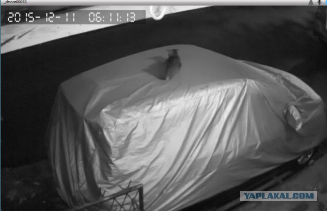 За что я люблю китайцев