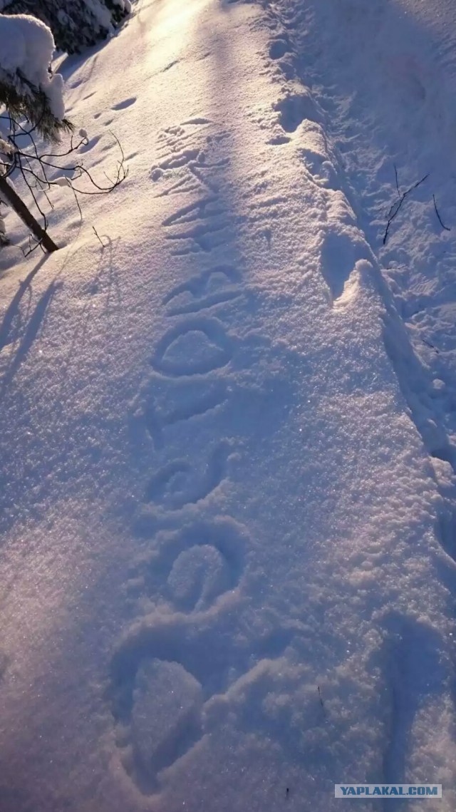 В горы. Выгонять похмелье.