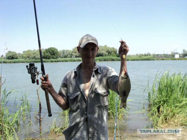 д. Городня