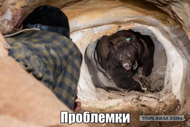 Картинки из этих, ваших...