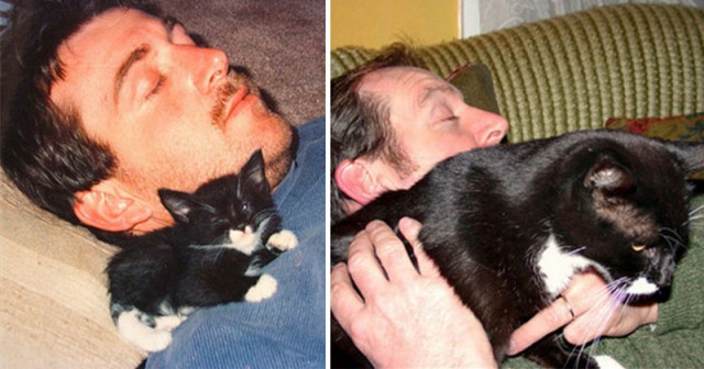 25 котят, которые так быстро выросли