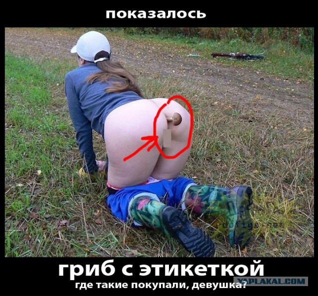 Соцсети - и смех и грех